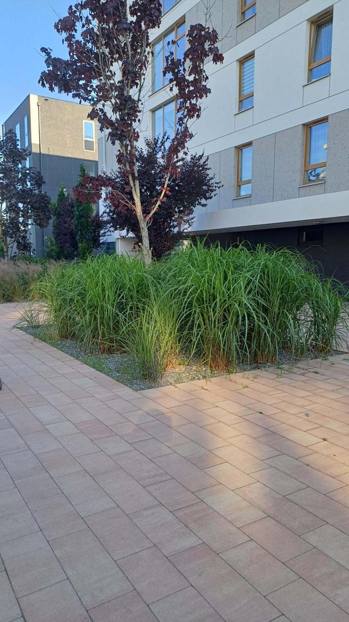 Apartament Davima Aquapark Rumia - Novum Exterior photo